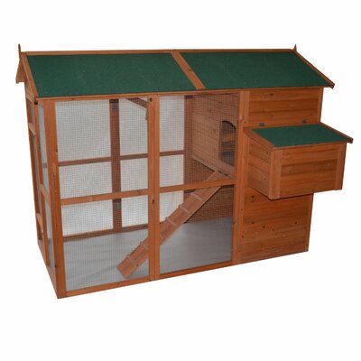 Chicken Coops You'll Love | Wayfair